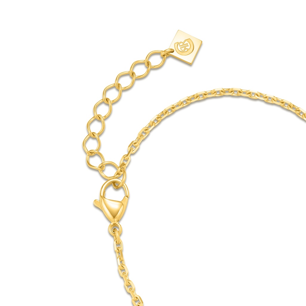 CERRUTI BRACELET CJB0012702