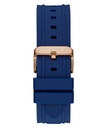 GW0799G2