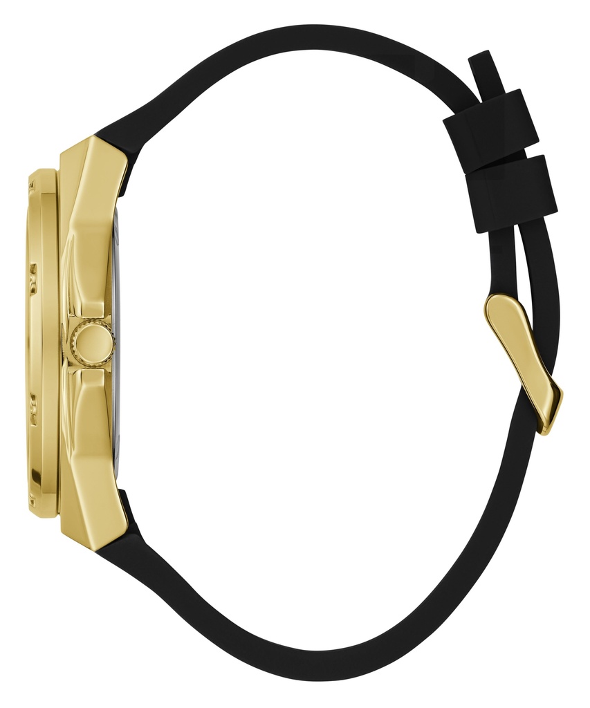 GW0620L2