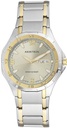 ARTRON (ANA) 20/4309GYTT